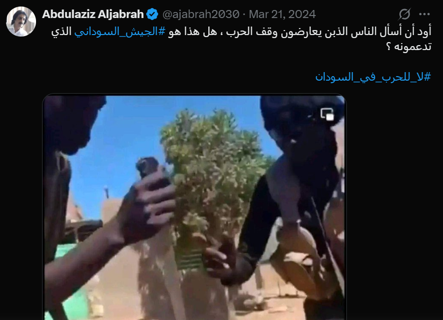 صورة 8